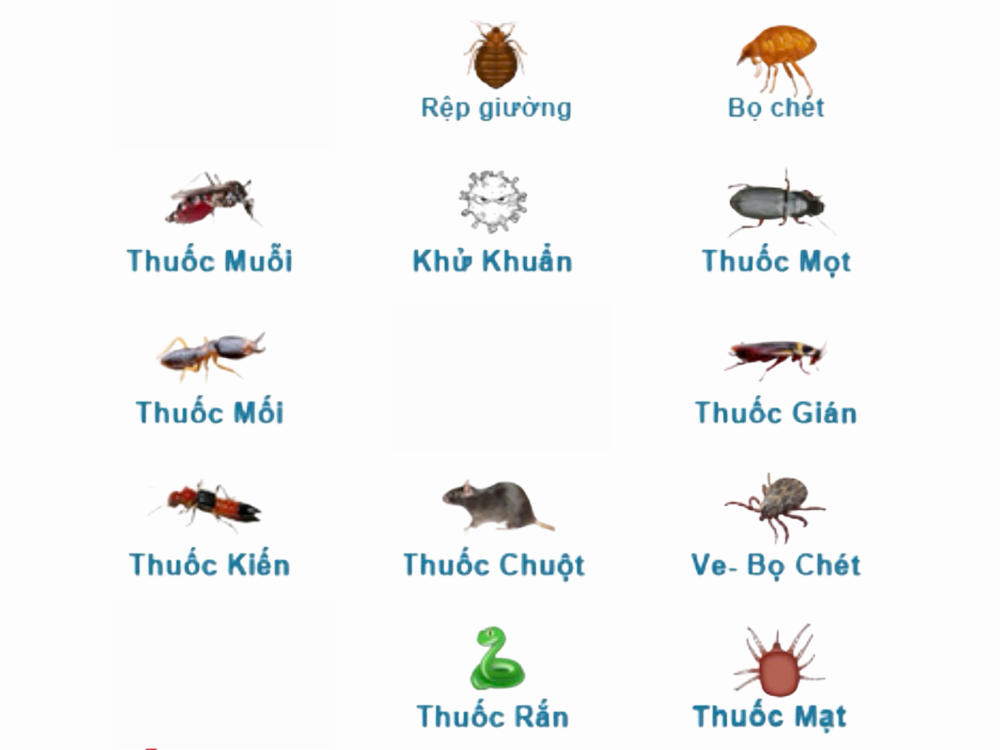 Ve, rệp và mạt yến – Ký sinh trùng gây nguy hiểm